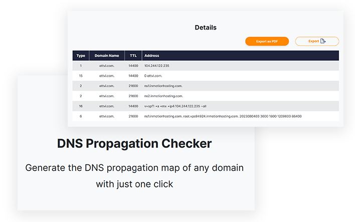 How to Check Domain’s DNS Records?
