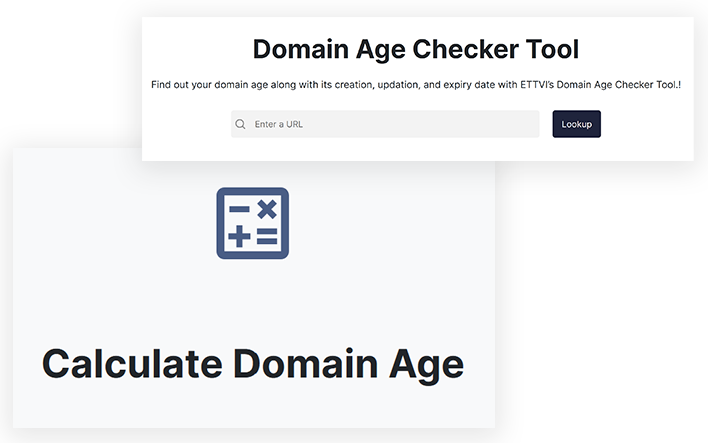 ETTVI'S Domain Age Checker