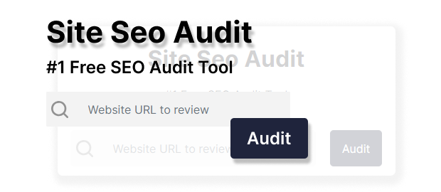 ETTVI’s Site Audit Tool