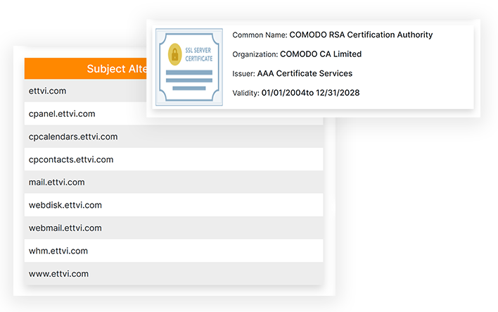 How ETTVI Checks a SSL Certificate?