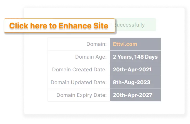 Understanding the Role of Domain Age in SEO