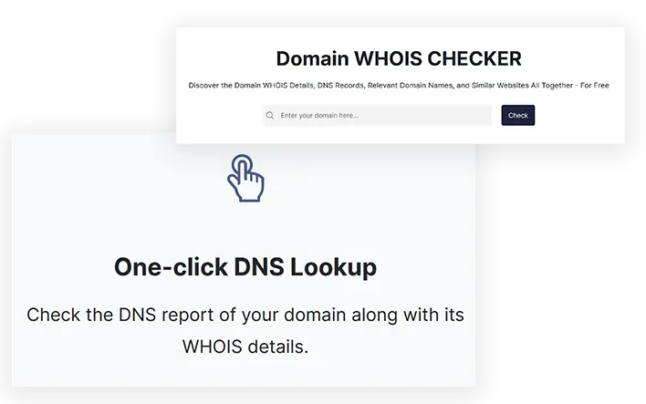 ETTVI’s Domain WHOIS Checker