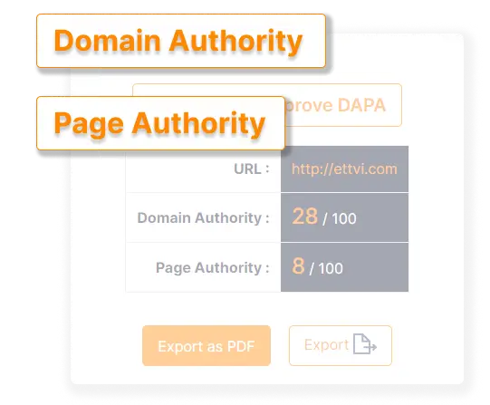 Domain Authority and Website Authority - Way to the Ranking | SEO Improvement